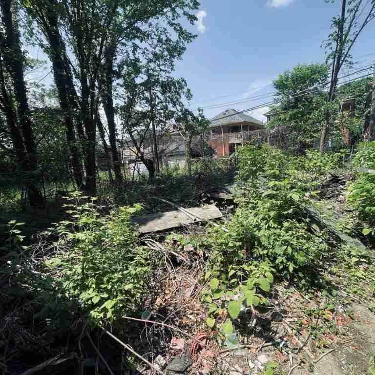 3328 Blaine (20).jpg